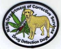 FOREIGN,AUSTRALIA,NEW SOUTH WALES CORRECTIONS K-9 1